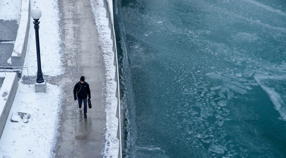 Nước Mỹ trong đợt sốc lạnh tới mức cá mập chết cóng